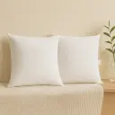 Oreiller 60X60 Polyester Paire